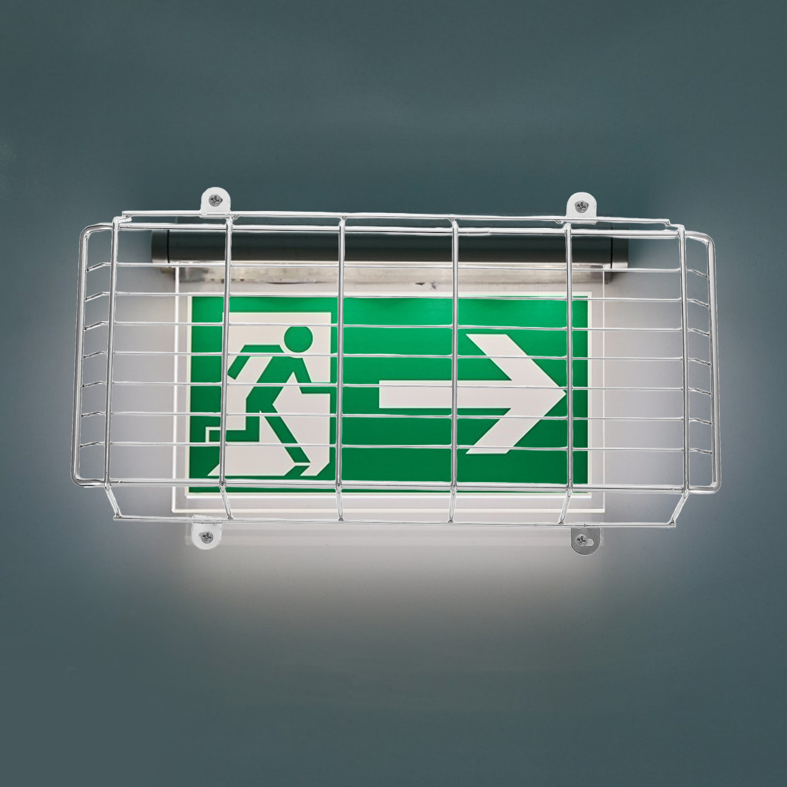 1Set Metal Safety Cage for Sch - đánh giá và giá Emergency Exit Sign